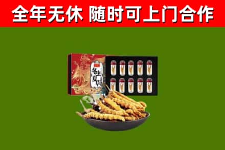 海南回收冬虫夏草价格